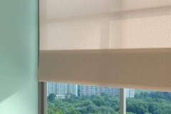 1467629019-rollerblind